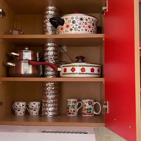 Red U Vrnjackoj Banji Apartament